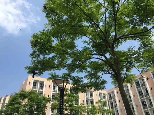 四川城市職業(yè)學(xué)院靠譜嗎