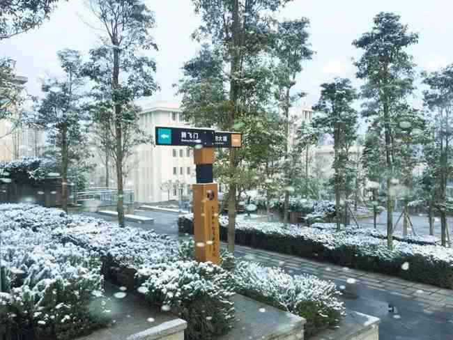 成都郫縣希望職業(yè)學(xué)校3+3升學(xué)班升學(xué)率有多高