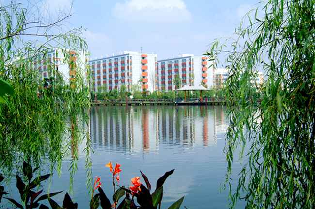 成都希望職業(yè)學(xué)校有普高嗎,郫縣希望職校是高中嗎