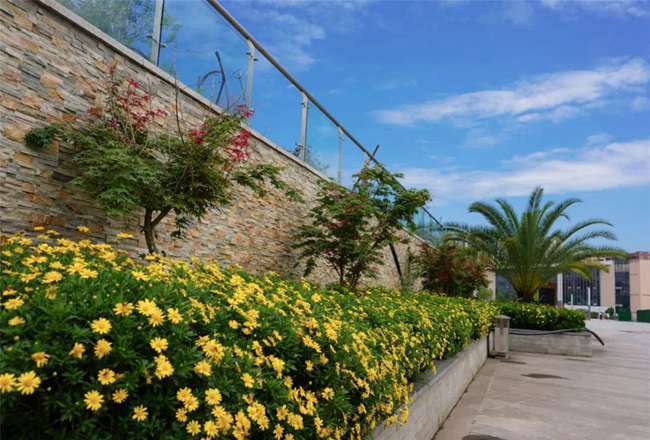 成都美思單招培訓(xùn)學(xué)校在哪里_成都美思單招培訓(xùn)學(xué)校聯(lián)系方式